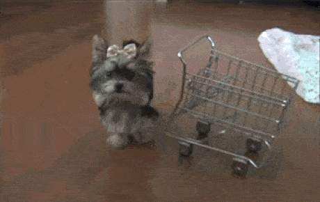 The Black Friday Wiki Guide for Ecommerce