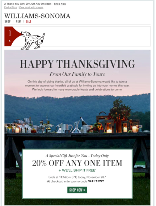 Thanksgiving Email Ideas To Make Your Customer Melt