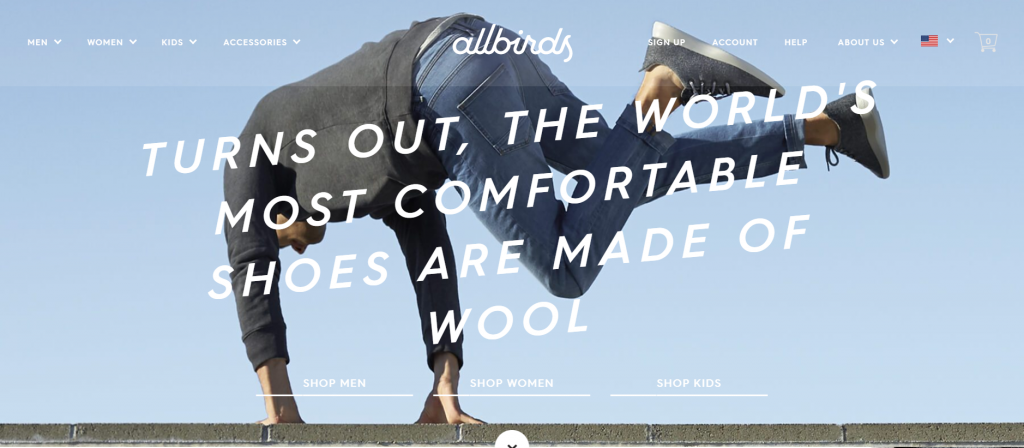 Top Shopify Store: AllBirds