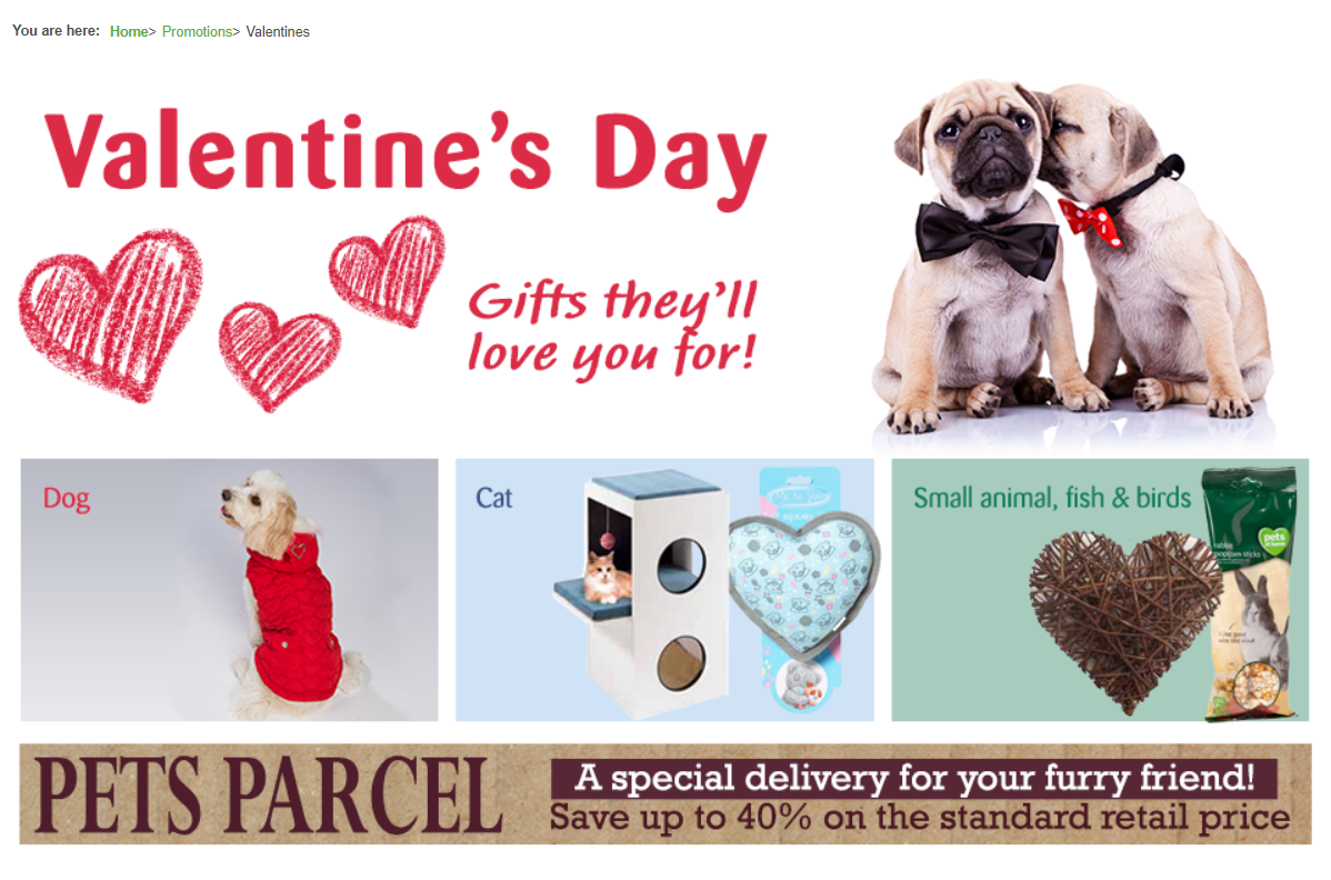Valentine's Day promotion ideas for Pets