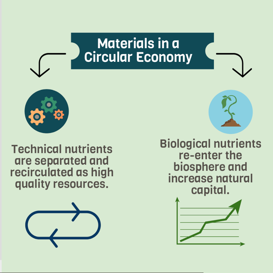 sustainable retail circular economy