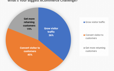 [Poll Results] What’s Your Biggest eCommerce Challenge?