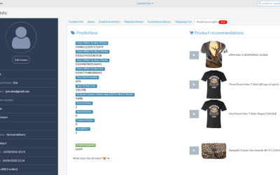 Introducing Predictive Insights with Real-Time Customer Predictions