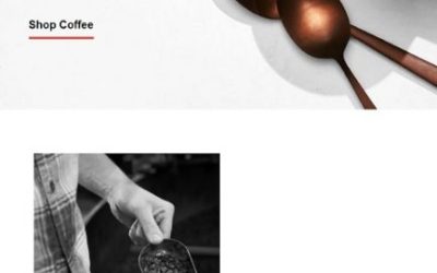 The eCommerce Nurture Campaign Best Practices for 2024 (that work)