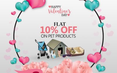 Valentine’s Day Statistics: Get Informed On This Romantic Day [Infographic]