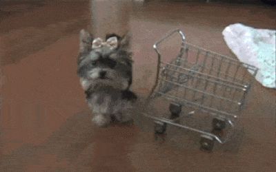 The Black Friday Wiki Guide for Ecommerce