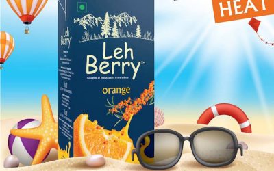The best summer marketing campaigns for eCommerce [2024]