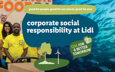 Analyzing Lidl’s Marketing Strategy: How the Discount Supermarket Leader Scaled